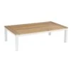 Royal Seasons RIVIÈRA Salontafel - L 130 X B 70 X H 36 Cm 1 Royal Seasons RIVIÈRA Salontafel - L 130 X B 70 X H 36 Cm -Madison Verkoopwinkel royal seasons riviera salontafel 130 x 70 x 36 cm 1500x1500 63ea349f22cfc l